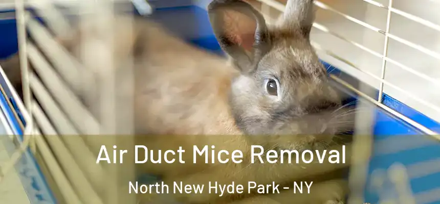  Air Duct Mice Removal North New Hyde Park - NY