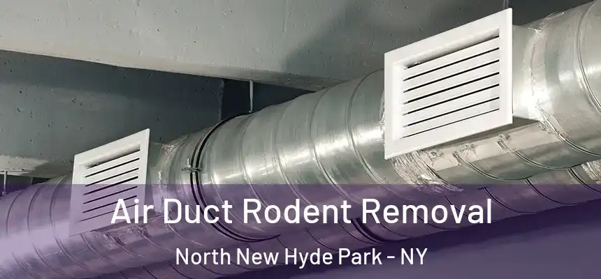 Air Duct Rodent Removal North New Hyde Park - NY