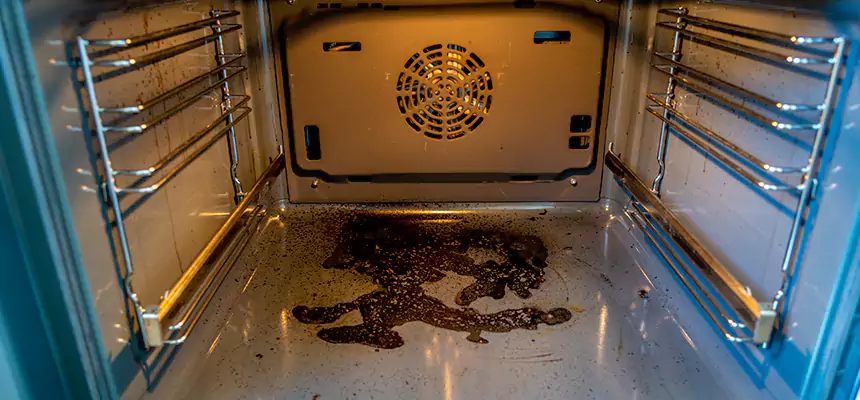 Our Dryer Vent Mold Cleaning Services in North New Hyde Park, NY