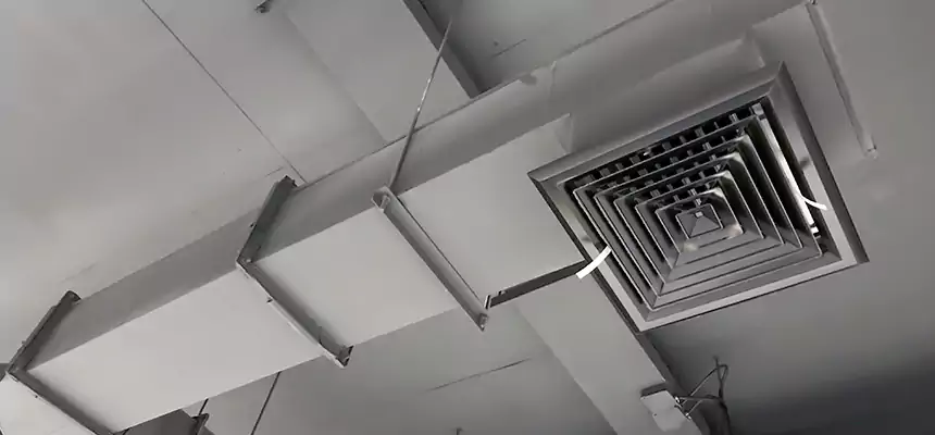 Our Rodent Droppings In Vents Services in North New Hyde Park, NY