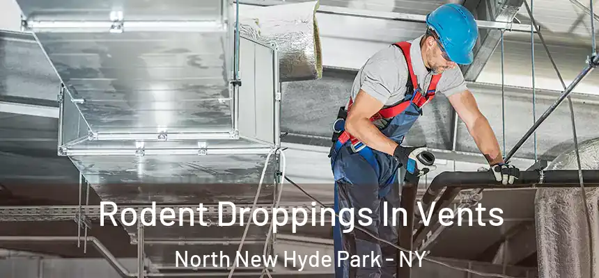  Rodent Droppings In Vents North New Hyde Park - NY