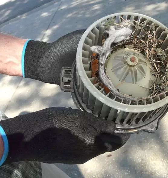 About Air Duct Mice Removal in North New Hyde Park, NY