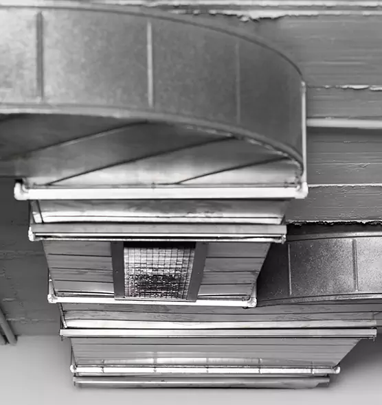 Professional Air Duct Pest Removal in North New Hyde Park, NY