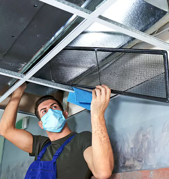 Professional Air Duct Pollen Cleaning in North New Hyde Park, NY