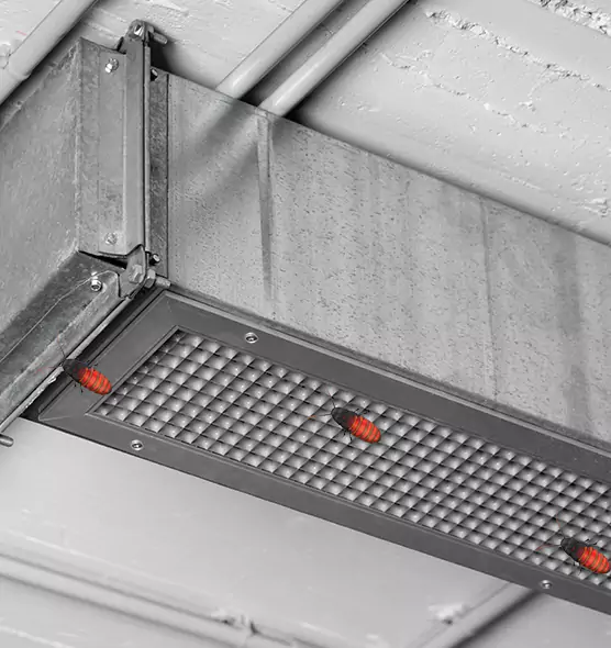 Affordable Insect Removal from Air Ducts in North New Hyde Park, NY